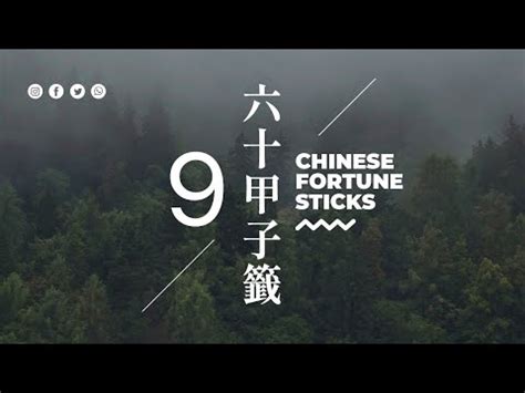 龍虎相隨在深山單身